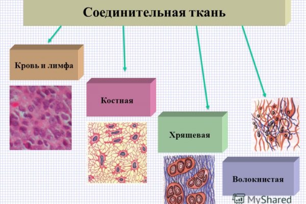 Кракен 13at